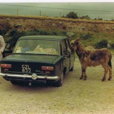 68_fiat_124